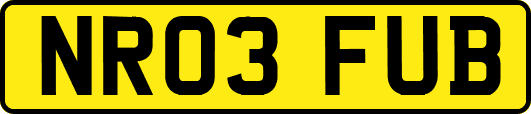 NR03FUB