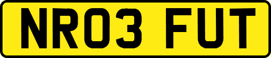 NR03FUT