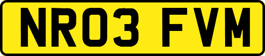 NR03FVM