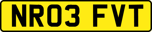 NR03FVT