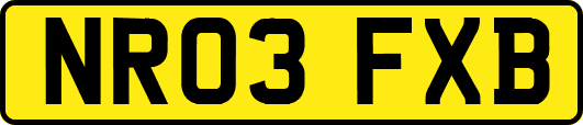 NR03FXB
