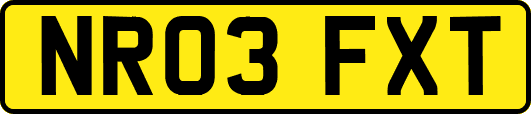 NR03FXT