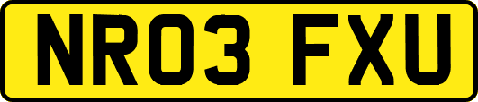 NR03FXU