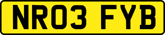 NR03FYB