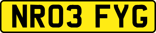 NR03FYG