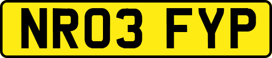 NR03FYP