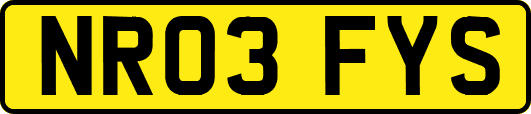 NR03FYS