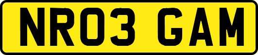 NR03GAM