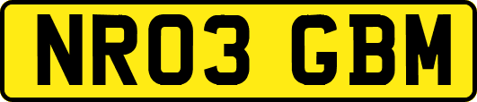 NR03GBM