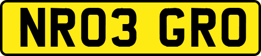 NR03GRO