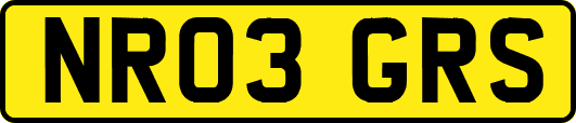 NR03GRS
