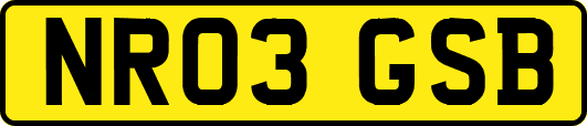 NR03GSB