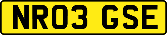 NR03GSE