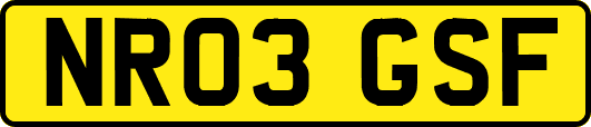 NR03GSF