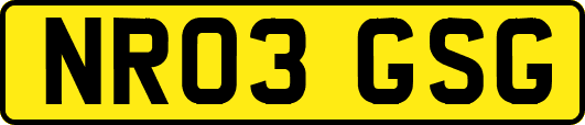 NR03GSG