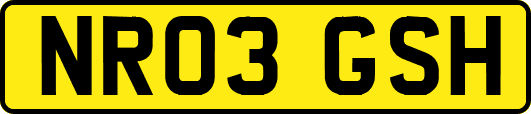 NR03GSH