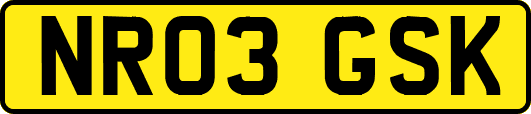 NR03GSK