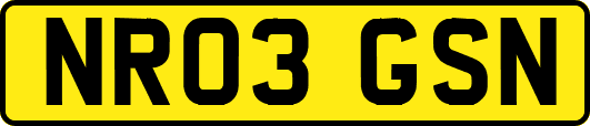 NR03GSN