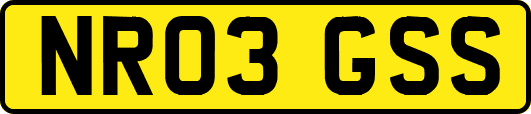 NR03GSS