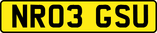 NR03GSU