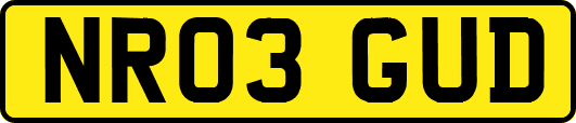 NR03GUD