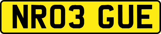 NR03GUE