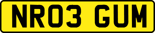 NR03GUM