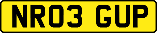 NR03GUP
