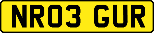 NR03GUR