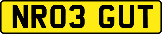 NR03GUT