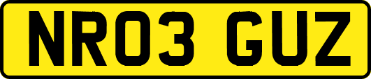 NR03GUZ