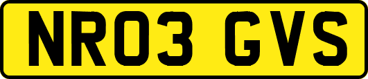 NR03GVS