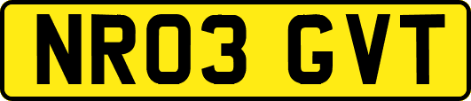 NR03GVT