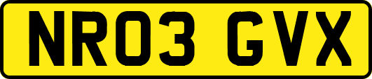 NR03GVX