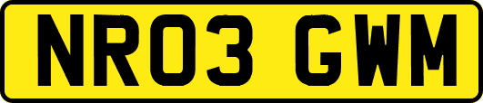 NR03GWM