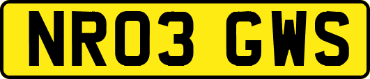 NR03GWS