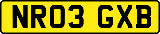 NR03GXB