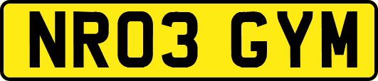 NR03GYM