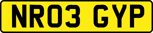 NR03GYP