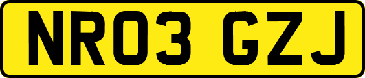 NR03GZJ