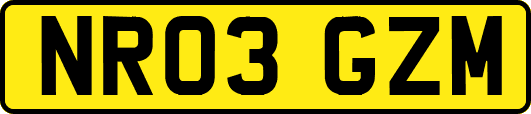 NR03GZM
