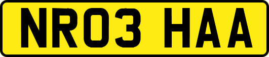 NR03HAA