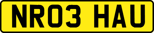 NR03HAU