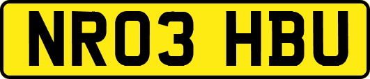 NR03HBU
