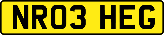 NR03HEG
