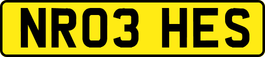 NR03HES