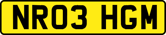 NR03HGM