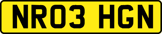 NR03HGN