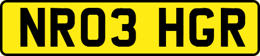 NR03HGR