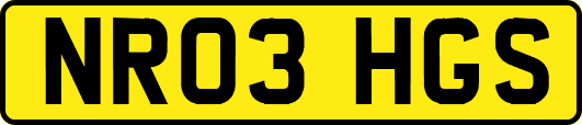NR03HGS